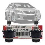 Par Lampada Xenon Corolla
