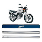 Tim3010
