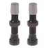 Par Válvula Tubeless Absolute Bico Grosso Schrader 40mm 2und