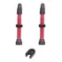 Par Válvula Xrocks Sem Câmara De Bike Tubeless 43mm Alumínio