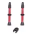 Par Válvula Xrocks Sem Câmara De Bike Tubeless 43mm Alumínio