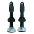 Par Válvulas Tubeless Bico Fino 48mm Base Bike Mtb Tsw