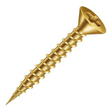 Parafuso Chip Phillips Para