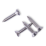 Parafuso Inox Auto Atarraxante