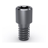 Parafuso Para Mini Pilar
