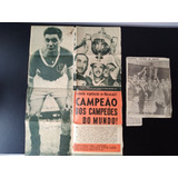 Parte Jornal Palmeiras Campeão Mundial