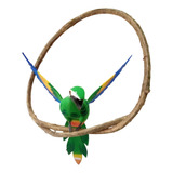 Passaro Arara Verde Decorativo