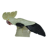 Passaro Cacatua Arara Pedra