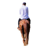 Passeio A Cavalo 