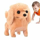 Passeio Pelúcia Simulação Poodle Toy Brinquedos Eletrônicos Interativos Para Filhotes Cachorro Abanando Rabo Para Crianças Presente Aniversário Bairong