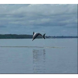 Passeios Nauticos Ilha Do
