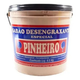 Pasta Para Lavar Mãos 4 5kg Pinheiro Desengraxante