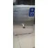 Pasteurizadora Carpigiani Mixlab 50