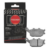 Pastilha Fischer Carbono Traseira Kawasaki Z750 Fj1150