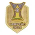 Patch Campeão Brasileiro 2024 Brasileirão Série A Botafogo
