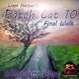 Patch Cat 10 