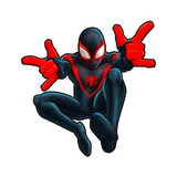 Patch Estampado Homem Aranha