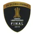Patch Final Libertadores 2019 Promoção  Original