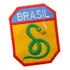 Patch Força Expedicionária 2 Guerra Feb Bordado Cobra-mod2