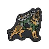 Patch Invictus Big Dog