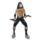 Paul Stanley The Star