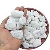 Pedra Dolomita Branca Seixo Decorativa Para Vasos E Jardins Ornamentais - Pacote De 1-8 Kg -N-2-1 Kg-