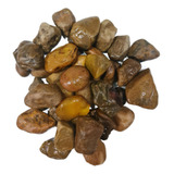 Pedra Para Jardim Marrom Seixo Mato Grosso Aquario Lago 5kg