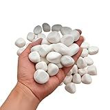 Pedra Seixo Branco Dolomita 2Kg- 5Kg E 10Kg Para Caminho Jardim Canteiro Vaso Paisagismo Decoração-Nº 1-10 Kg-