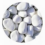 Pedra Seixo Dolomita Branca Nº 02-7 Litros - Ideal Para Paisagismo- Decoração E Drenagem