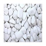 PEDRAS DE QUARTZO OVO SEIXO P JARDINAGEM N 02 950G