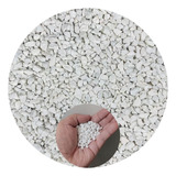 1kg