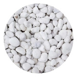 Pedras Ornamentais Dolomita Branca Para Vasos E Jardim 5 Kg