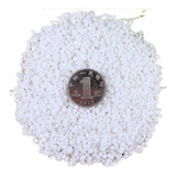 Pedrinha Branca Vaso Jardim Decoração Aquário Dolomita 1kg