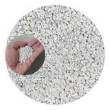 Cacto