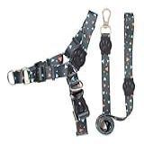 Peitoral Antipuxão Para Cachorro Com Guia G Preto Estampado