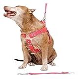 Peitoral Cachorro Com Guia E Adaptador Serve Pit Bull Labrador