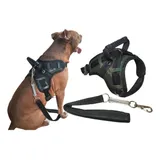 Peitoral Cachorros Filhotes Pequenos