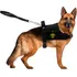 Peitoral Canil Com Bolso + Guia - Reforçado Cães Grandes Cor Preto Tamanho Da Coleira G