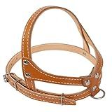 Peitoral Coleira Em Couro Legitimo Pet Filhotes Luxo N 0 1 1 Caramelo 