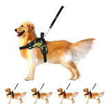Peitoral Coleira Guia Canil C Regulagem X Para Cachorro Cão