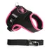 Peitoral Coleira Guia Pet Cachorro Colete Tamanho 1 Cor Preta Com Pink Pet Finess