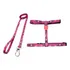 Peitoral Coleira Para Gatos Ajustável Adestramento Educativo Cor Rosa Inter Pets Colete Pet Confortavel Filhote