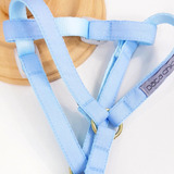 Peitoral Com Guia Pata Chic Conforto Para Seu Cachorro