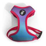 Pp313