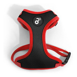 Pp315