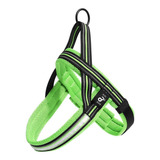 Pp330