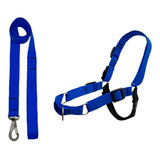 Peitoral Para Adestramento Cachorro Porte Anti Puxão Educar Cor Azul Tamanho Da Coleira M
