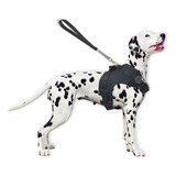 Peitoral Para Cachorro Porte Médio E Grande Confortável Cor Preto Tamanho Da Coleira M Império Do Pet