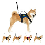 Peitoral Tatico Para Cães Treinamento Adestramento