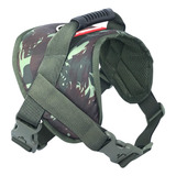 K9